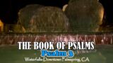 Book of Psalms | Chapter 3 (New International Version (NIV) Read by: Yvonne Grant