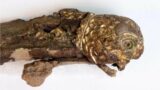 Broken pieces of rare Viking sword reunited after 1,200 years apart