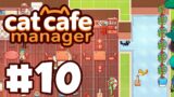 Building a Cat Room! | Let's Play: Cat Cafe Manager | Ep 10