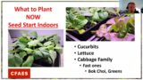 CFAES Spring Gardening Series: Summer Vegetables