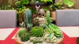 Cactus and Succulents Arrangement in Shallow Terracotta Pot