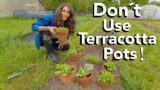 Don't Use Terracotta Pots ! Gardening Tips