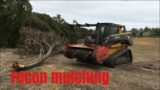 Fecon- mulching dead trees