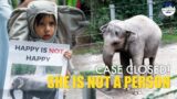 Happy the Elephant is an ‘intelligent' being, but not legally 'a person' – New York court rules