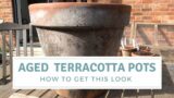 How To Age Terracotta Pots / Update and Mistakes to Avoid