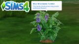 How To Get Wolfsbane Flower (Popular Spawn Location) – The Sims 4