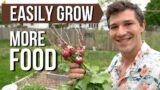 How to Grow a LOT OF FOOD in a Small Garden Bed!!