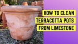 How to clean terracotta pots from limestone
