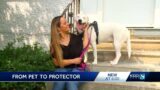 Man's best friend to the rescue for family in Des Moines