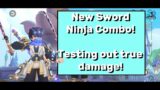 New true damage blessing cards for Sword Ninja + new combo techniques!| Ragnarok M: Eternal Love
