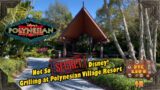 Not So Secret Disney | Grilling at the Polynesian Village Resort