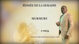 PENSEE DE LA SEMAINE  : MURMURE / AVEC LE REV  PERE NESLY JEAN JACQUES , SMM  0074