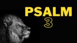 PSALM 3 | A psalm of David. | #bible #psalms #niv