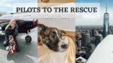 Pilots to the Rescue: a mission to New York!