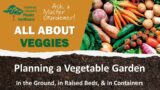 Planning a vegetable garden (in ground, raised beds & containers)