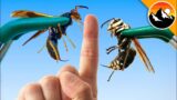 STUNG Twice – Wasp vs. Hornet!
