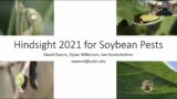 Soybean Pests 2022