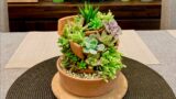 Succulent Arrangement in Broken Pieces of Terracotta Pot