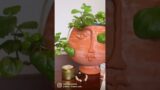 Terracotta Face Plant Pot