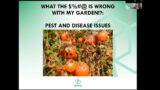 What the @%$& Is Wrong With My Vegetable Garden!? – Pests and Disease