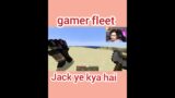 gamer fleet jack kya hai ye