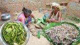 village couple cooking shrimp fish curry with KACHU shak || reallity of rural life || poor family