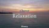 1 hour relaxation |