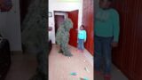 FUNNY VIDEO GHILLIE SUIT TROUBLEMAKER BUSHMAN PRANK try not to laugh Family The Honest Comedy 25