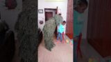FUNNY VIDEO GHILLIE SUIT TROUBLEMAKER BUSHMAN PRANK try not to laugh Family The Honest Comedy 23