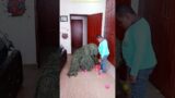 FUNNY VIDEO GHILLIE SUIT TROUBLEMAKER BUSHMAN PRANK try not to laugh Family The Honest Comedy 27