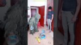 FUNNY VIDEO GHILLIE SUIT TROUBLEMAKER BUSHMAN PRANK try not to laugh Family The Honest Comedy P2