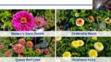 2022 Garden Hour August 16: Flower Trials, Heat Damage, and Harvests