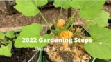 2022 Garden Week 3 – Part 2 Spraying for Fungi (and products used for pests)