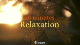40 min relaxation | Study, Sleeping, Soothing, Ambient, Meditation, Relaxing Music