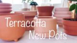 A Look at my New Terracotta Pots for Houseplants