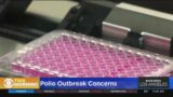 Addressing polio outbreak concerns with health expert