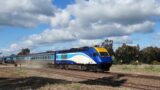 An XPT kicking up some dust at Shepherds (level crossing), NSW.