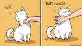 Artist Illustrates What It’s Like To Live With A Cat In Comics || Meaningful Comics #2