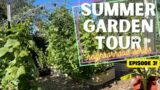 BACKYARD SUMMER GARDEN TOUR / Zone 9b, Elk Grove, CA / Raised Beds, Vertical Gardening & More