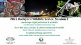 Backyard Wildlife Series #3- Landscape Light Pollution and Wildlife