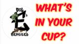 Big E's Reptiles – What's in your cup? Episode 87