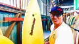 Biggest in the World? Surfboard and Kneeboard Collection. Campbell Brothers Bonzer. Wooden el Paipo