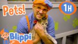 Blippi Takes Care Of Cute Animals in the Shelter! | 1 HOUR BEST OF BLIPPI | Blippi Toys