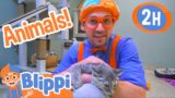 Blippi Visits an Animal Shelter | 2 HOURS OF BLIPPI | Educational Videos for Kids | Blippi Toys