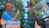 Blippi at the Zoo-Feeding the Animals  | Animals for Kids | Animal Cartoons | Learn about Animals