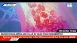 Blood circulation and cells of dead pigs regenerated