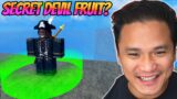 Blox Fruits 24 Hour Looking For Mirage Island