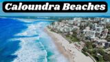 Caloundra Beaches, Sunshine Coast – Queensland | Which one is the best for you?
