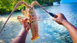 Camping & Exploring Deserted island Eating What We Catch