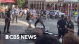 Carriage horse collapses in New York City